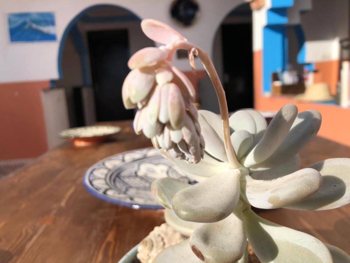 Bed and Breakfast Binic Surf House Taghazout Exterior foto