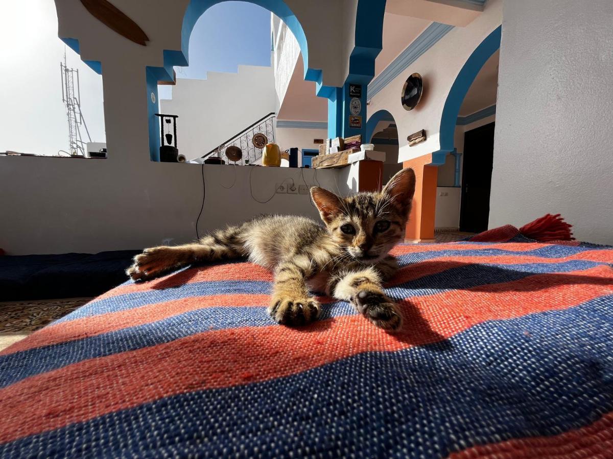 Bed and Breakfast Binic Surf House Taghazout Exterior foto